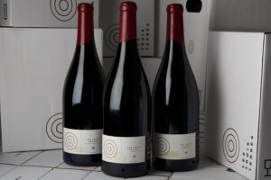 Les Trois Terres, Laurent Bally. © Mathieu Martin