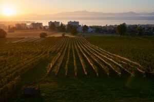 Les Trois Terres, Laurent Bally. © Mathieu Martin