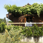 PEREY Vignerons-Encaveurs Vufflens-le-Château