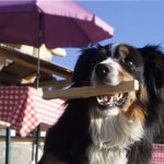 TAOU-La_Neuve_MG_6647