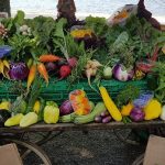 charette-coquette-legumes