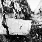 Vendages5